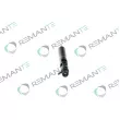 Injecteur REMANTE 002-003-000053R - Visuel 2
