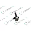 Injecteur REMANTE 002-003-000086R - Visuel 2