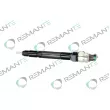 Injecteur REMANTE 002-003-000087R - Visuel 1