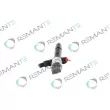 Injecteur REMANTE 002-003-000101R - Visuel 2