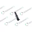 Injecteur REMANTE 002-003-000109R - Visuel 2