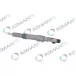 Injecteur REMANTE 002-003-000113R - Visuel 1
