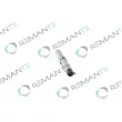 Injecteur REMANTE 002-003-000116R - Visuel 2