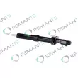 Injecteur REMANTE 002-003-000123R - Visuel 1