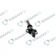 Injecteur REMANTE 002-003-000123R - Visuel 2