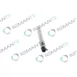 Injecteur REMANTE 002-003-000124R - Visuel 2