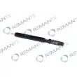 Injecteur REMANTE 002-003-000126R - Visuel 1