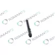 Injecteur REMANTE 002-003-000126R - Visuel 2