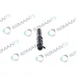 Injecteur REMANTE 002-003-000130R - Visuel 2