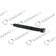 Injecteur REMANTE 002-003-000132R - Visuel 1