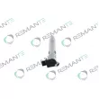 Injecteur REMANTE 002-003-000133R - Visuel 2