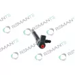 Injecteur REMANTE 002-003-000139R - Visuel 2