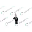 Injecteur REMANTE 002-003-000171R - Visuel 2