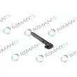 Injecteur REMANTE 002-003-000176R - Visuel 2