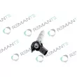 Injecteur REMANTE 002-003-001015R - Visuel 2