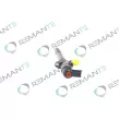 Injecteur REMANTE 002-003-001033R - Visuel 2