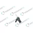 Injecteur REMANTE 002-003-001090R - Visuel 2