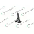 Injecteur REMANTE 002-003-001143R - Visuel 2
