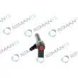 Injecteur REMANTE 002-003-001146R - Visuel 2