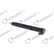 Injecteur REMANTE 002-003-001169R - Visuel 1