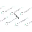 Injecteur REMANTE 002-003-001207R - Visuel 2