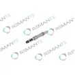 Injecteur REMANTE 002-003-001207R - Visuel 3