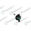Injecteur REMANTE 002-003-001315R - Visuel 2