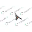 Injecteur REMANTE 002-003-001319R - Visuel 2