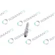 Injecteur REMANTE 002-003-001366R - Visuel 2