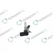 Injecteur REMANTE 002-003-001380R - Visuel 2