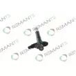 Injecteur REMANTE 002-003-001395R - Visuel 2