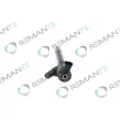 Injecteur REMANTE 002-003-001544R - Visuel 2