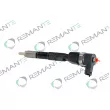 Injecteur REMANTE 002-003-001674R - Visuel 1