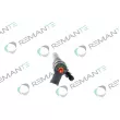 Injecteur REMANTE 002-003-001739R - Visuel 2