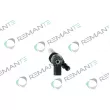 Injecteur REMANTE 002-003-001751R - Visuel 2