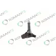 Injecteur REMANTE 002-003-002077R - Visuel 2
