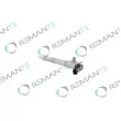 Injecteur REMANTE 002-003-002161R - Visuel 1