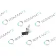 Injecteur REMANTE 002-003-002161R - Visuel 2