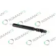 Injecteur REMANTE 002-003-002166R - Visuel 1