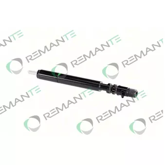 Injecteur REMANTE 002-003-002166R
