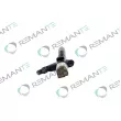 Injecteur REMANTE 002-003-002180R - Visuel 2