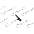 Injecteur REMANTE 002-003-002260R - Visuel 2