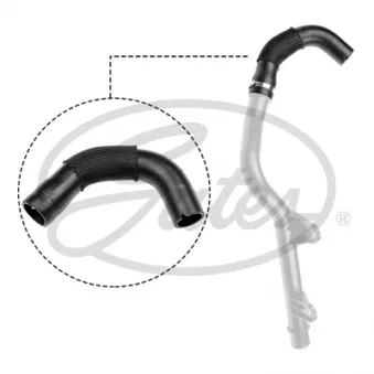 Durite de radiateur GATES 05-4253
