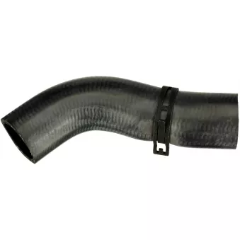 Durite de radiateur GATES 05-5596