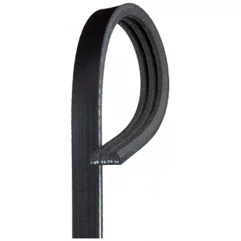 Courroie trapézoïdale à nervures GATES 3PK794SF