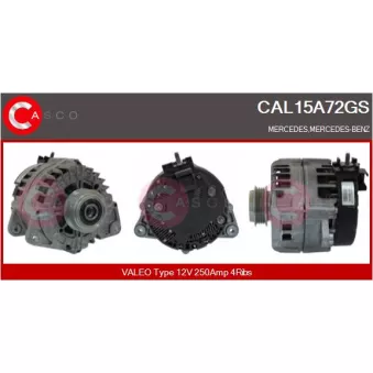 Alternateur CASCO