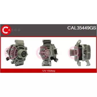 Alternateur CASCO
