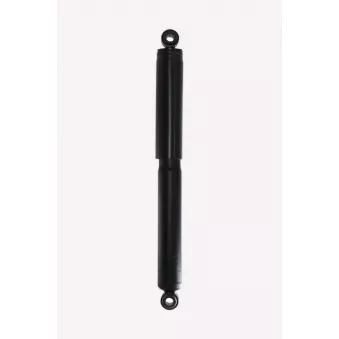 Jeu de 2 amortisseurs arrière LTM C04047