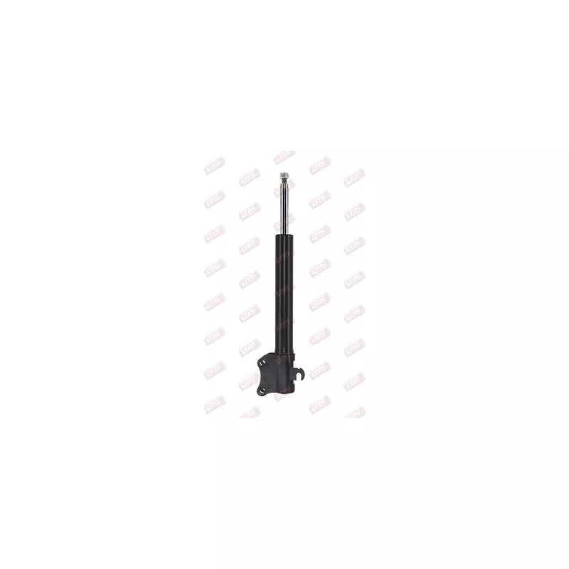 Jeu de 2 amortisseurs arrière LTM D28009