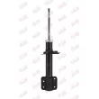 Amortisseur avant gauche LTM D58052 - Visuel 2